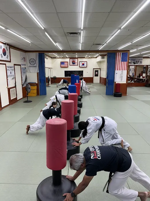 Master Yoo's Summit Taekwondo Picture 2