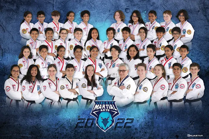 Liberty Martial Arts and Leadership Academy Picture 4