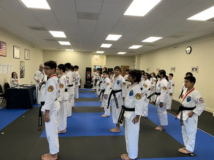Liberty Martial Arts and Leadership Academy Picture 5