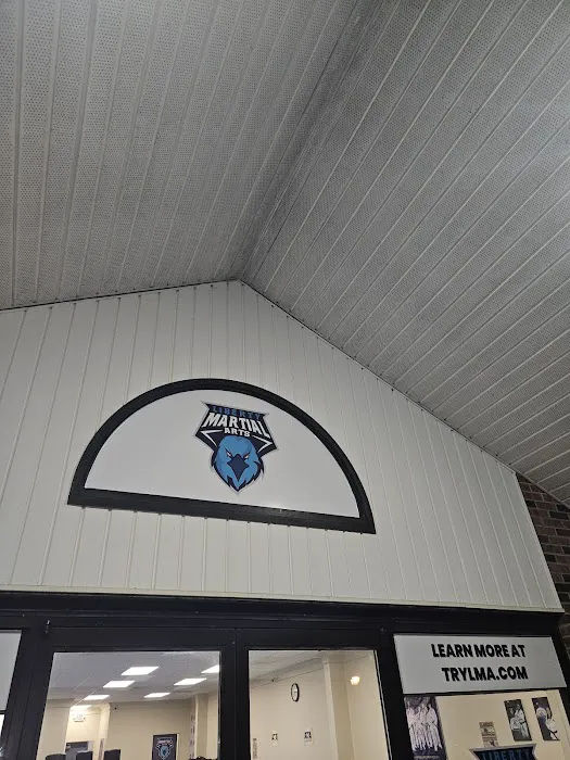 Liberty Martial Arts and Leadership Academy Picture 3