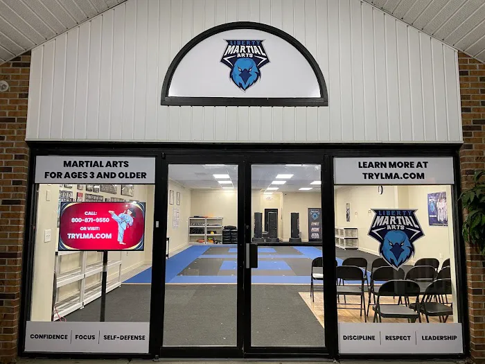 Liberty Martial Arts and Leadership Academy Picture 10