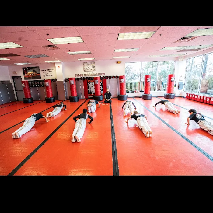Tiger Schulmann's Martial Arts (Eatontown, NJ) Picture 2
