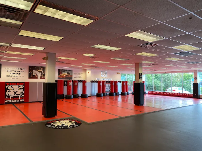 Tiger Schulmann's Martial Arts (Eatontown, NJ) Picture 3