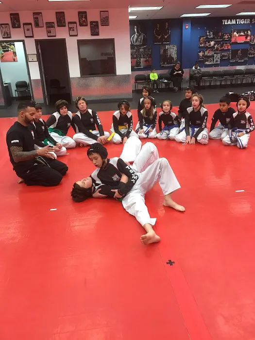 Tiger Schulmann's Martial Arts (Eatontown, NJ) Picture 9