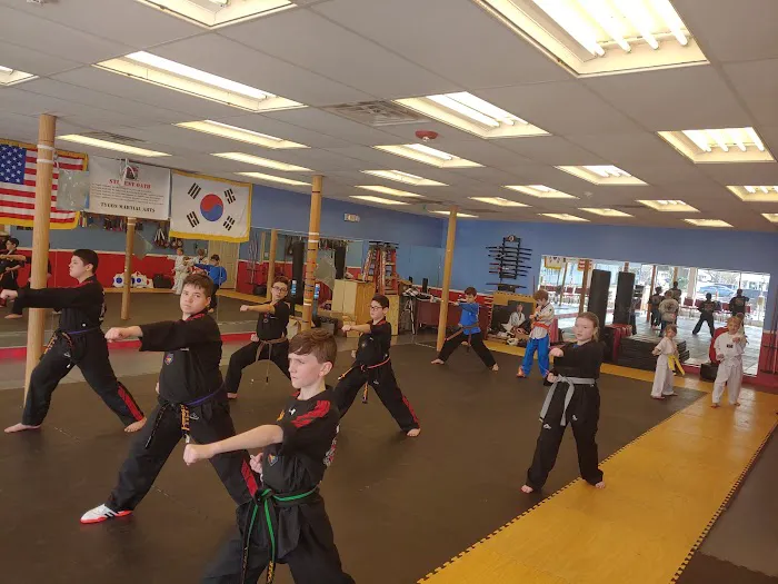 Tygon Martial Arts Picture 2