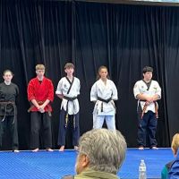Tygon Martial Arts ico