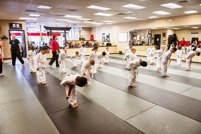Satori Academy of Martial Arts Picture 3