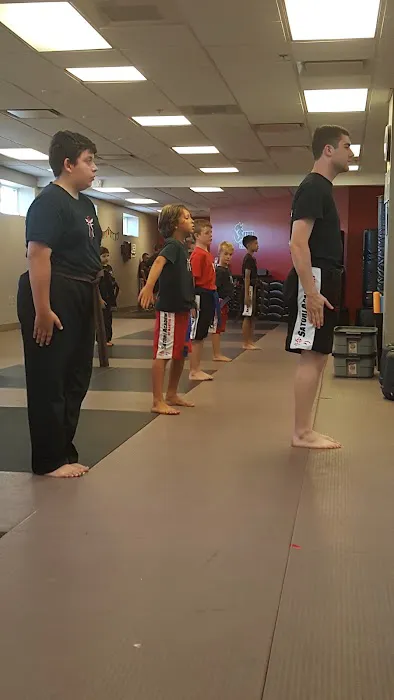 Satori Academy of Martial Arts Picture 4