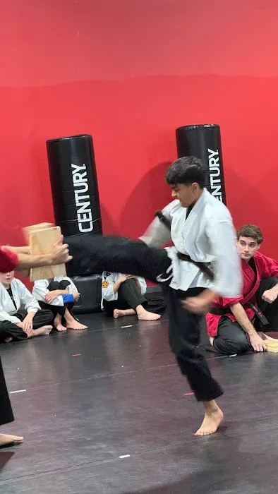 Satori Academy of Martial Arts Picture 6