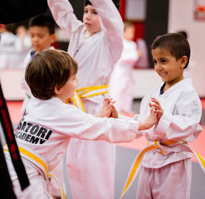 Satori Academy of Martial Arts Picture 9