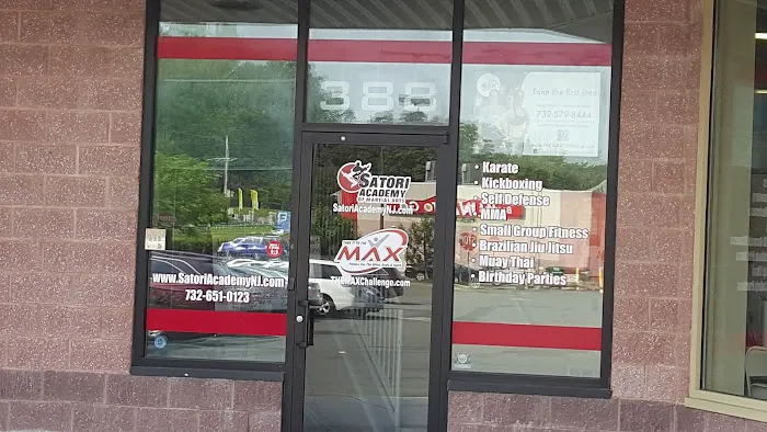 Satori Academy of Martial Arts Picture 8