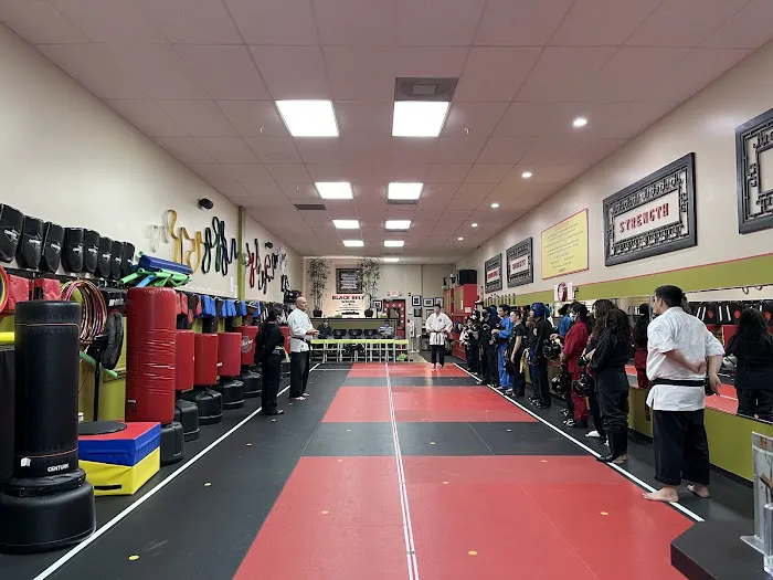 Master Nick's Karate Picture 1