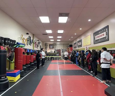 Master Nick's Karate