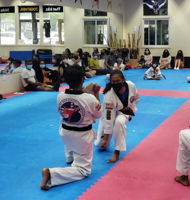 JD Kim's Taekwondo Academy Picture 2