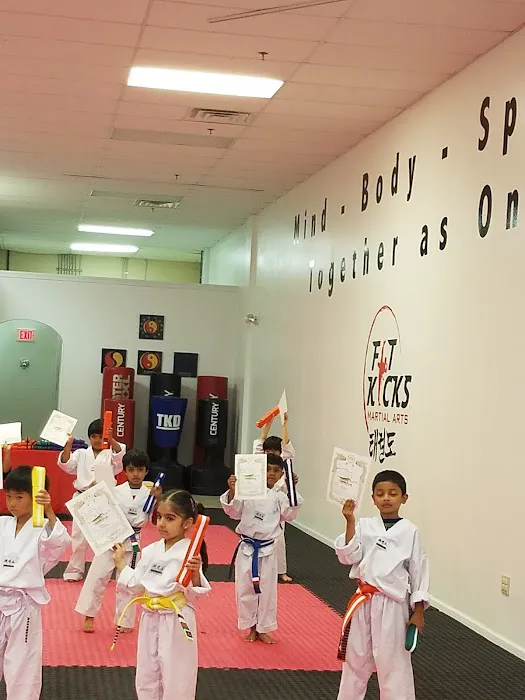 Fit Kicks Martial Arts Picture 5