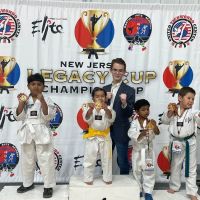 Taekwondo Elite ico