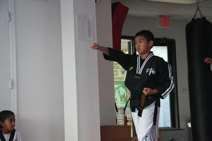 Taekwondo Elite Picture 6