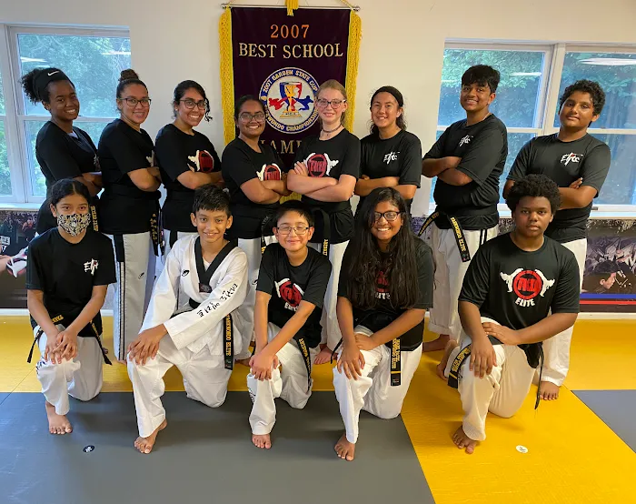 Taekwondo Elite Picture 9