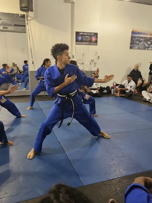 Excel Martial Arts Picture 7