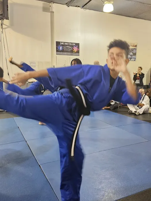 Excel Martial Arts Picture 5