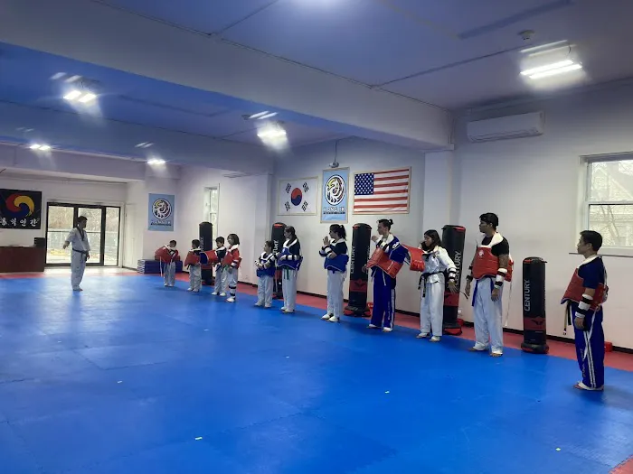 Hong Ik Martial Arts Picture 2