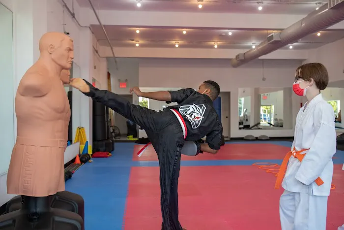 Uly Karate & Fitness Picture 9