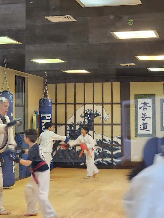 Warrior-Scholar Martial Arts (Five Towns Karate) Picture 2