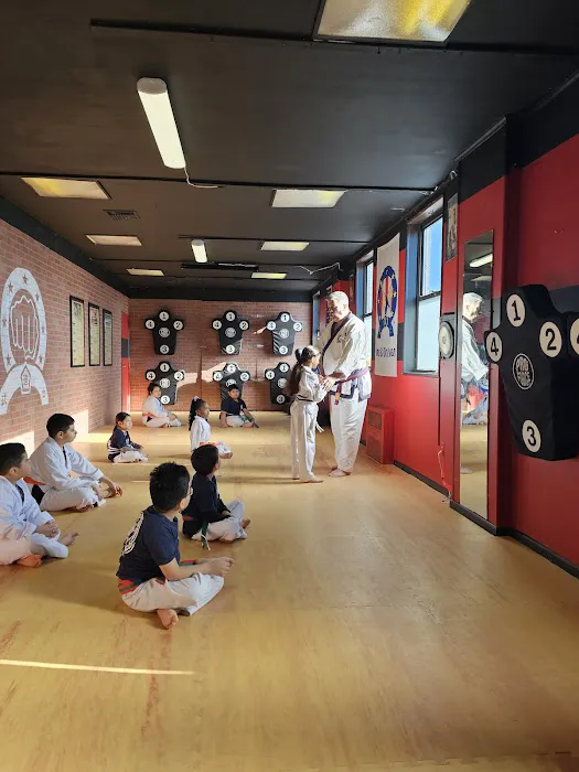 Warrior-Scholar Martial Arts (Five Towns Karate) Picture 8