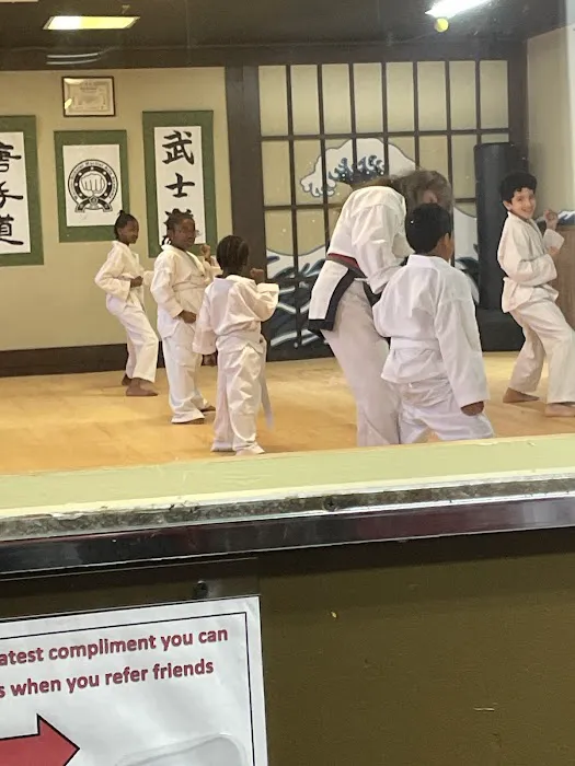 Warrior-Scholar Martial Arts (Five Towns Karate) Picture 7