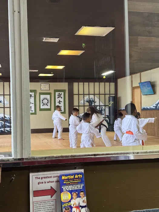 Warrior-Scholar Martial Arts (Five Towns Karate) Picture 9