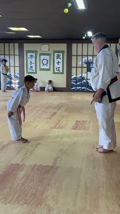 Warrior-Scholar Martial Arts (Five Towns Karate) Picture 10