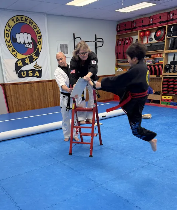 Taecole Tae Kwon Do & Fitness - Karate & Martial Arts Classes Picture 2