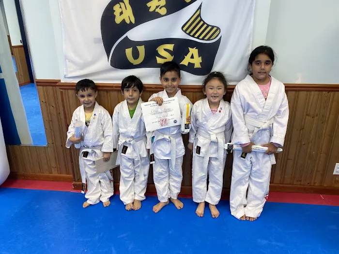 Taecole Tae Kwon Do & Fitness - Karate & Martial Arts Classes Picture 3