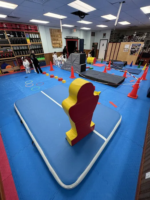 Taecole Tae Kwon Do & Fitness - Karate & Martial Arts Classes Picture 4