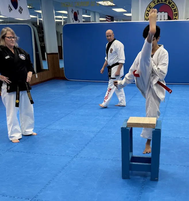 Taecole Tae Kwon Do & Fitness - Karate & Martial Arts Classes Picture 5