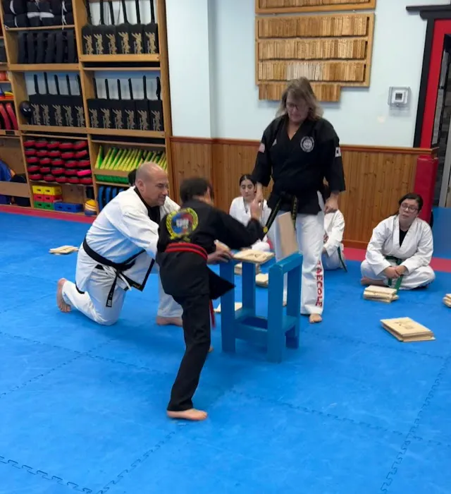Taecole Tae Kwon Do & Fitness - Karate & Martial Arts Classes Picture 6