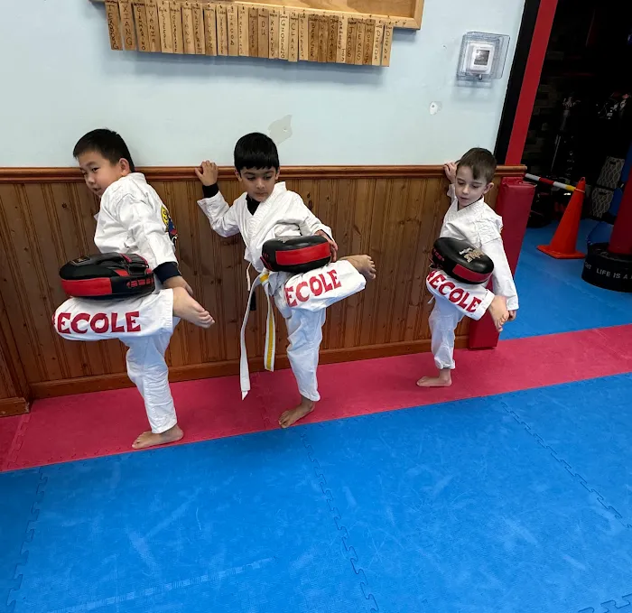 Taecole Tae Kwon Do & Fitness - Karate & Martial Arts Classes Picture 9