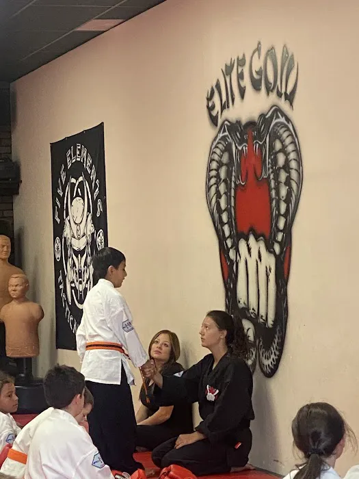 New Generation Karate - Martial Arts & Fitness Picture 5