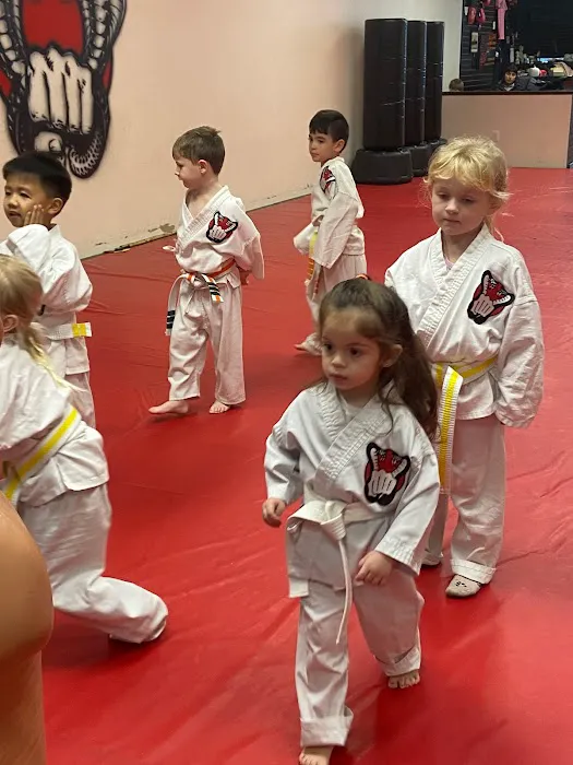 New Generation Karate - Martial Arts & Fitness Picture 4