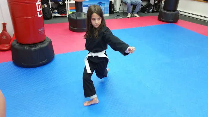 Tactics Martial Arts Picture 7