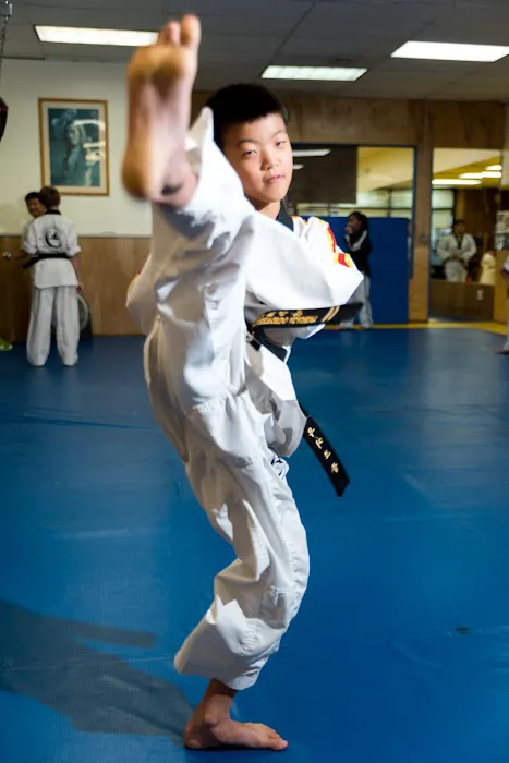 World Taekwondo Academy Picture 5