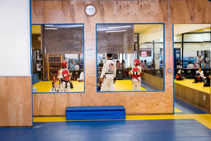 World Taekwondo Academy Picture 4