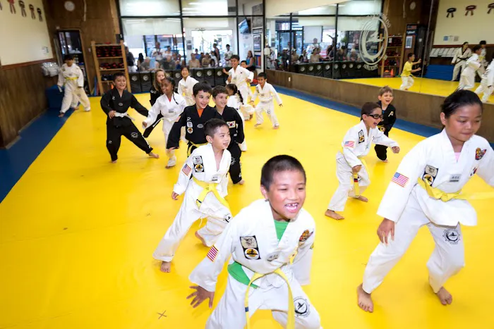 World Taekwondo Academy Picture 2