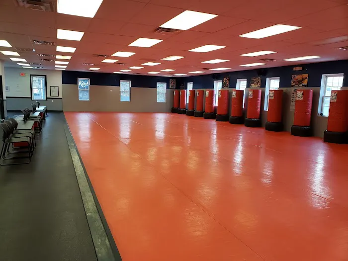 Tiger Schulmann's Martial Arts (Manhasset, NY) Picture 1