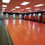 Tiger Schulmann's Martial Arts (Manhasset, NY)