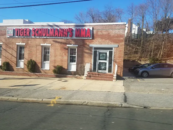 Tiger Schulmann's Martial Arts (Manhasset, NY) Picture 10