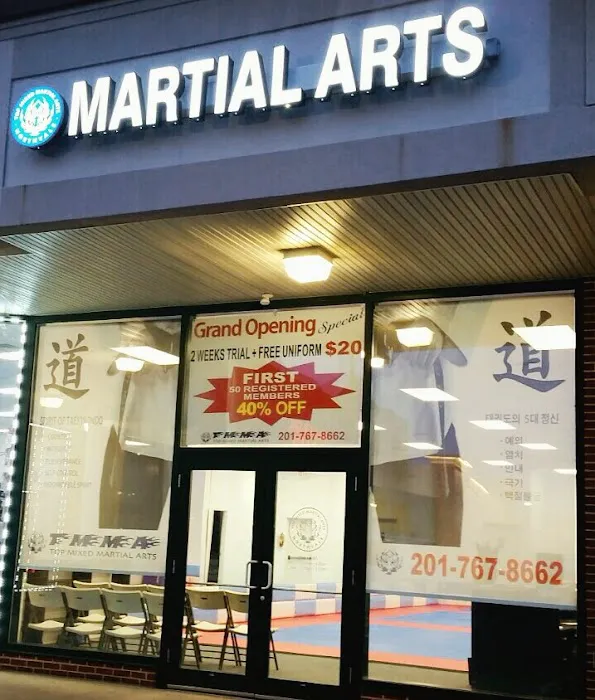 Top Mixed Martial Arts Picture 8