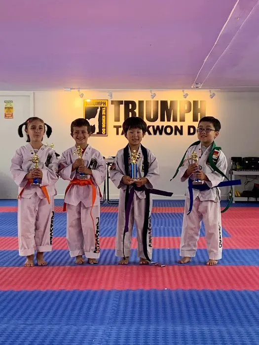 Triumph Taekwondo Blauvelt Picture 1