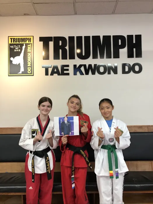 Triumph Taekwondo Blauvelt Picture 2