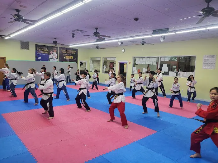 Triumph Taekwondo Blauvelt Picture 6